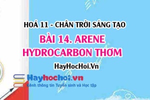 Arene là gì, tính chất vật lí, tính chất hoá học của Arene (benzene và toluene), điều chế và ứng dụng arene? Hoá 11 chân trời bài 14